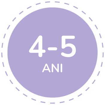 Jucarii copii 4-5 ani