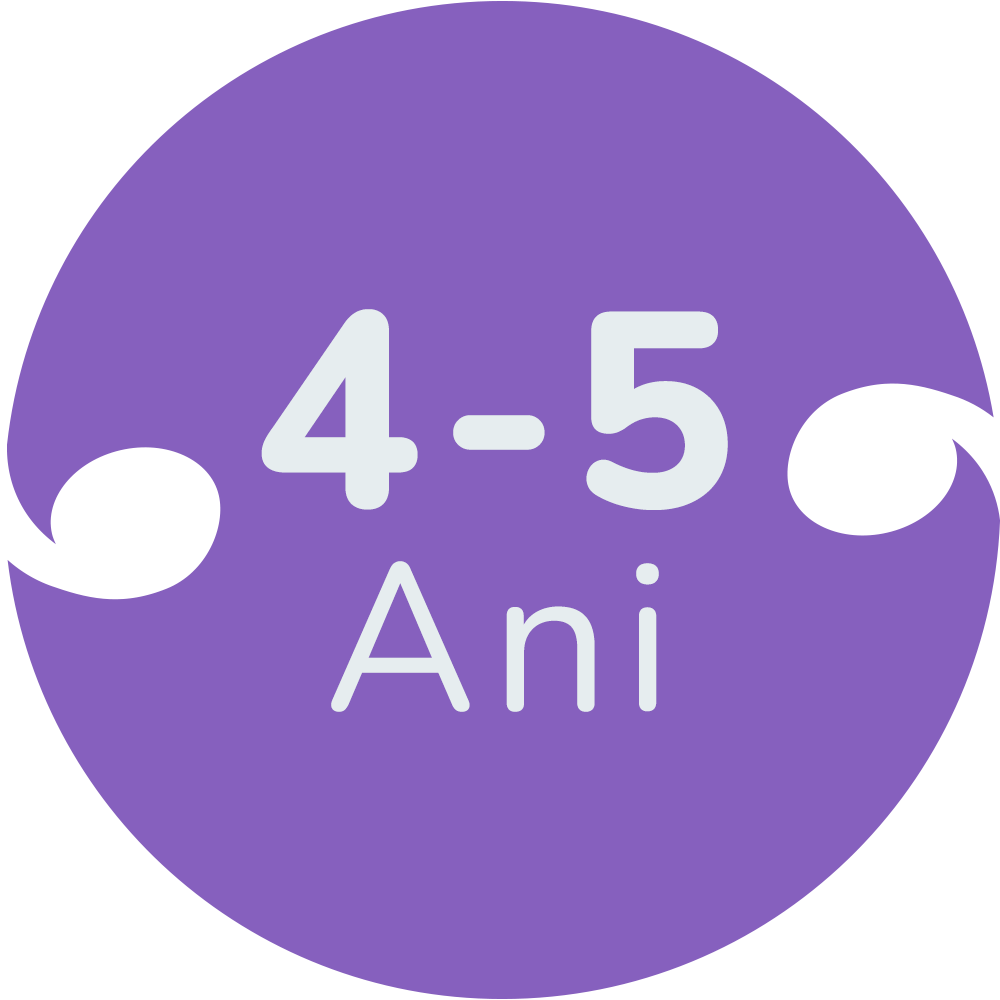 Jucarii copii 4 ani - 5 ani