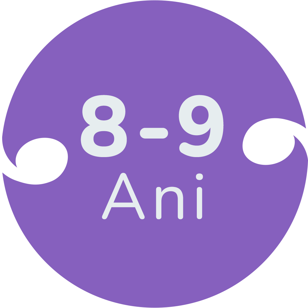 Jucarii copii 8 ani - 9 ani