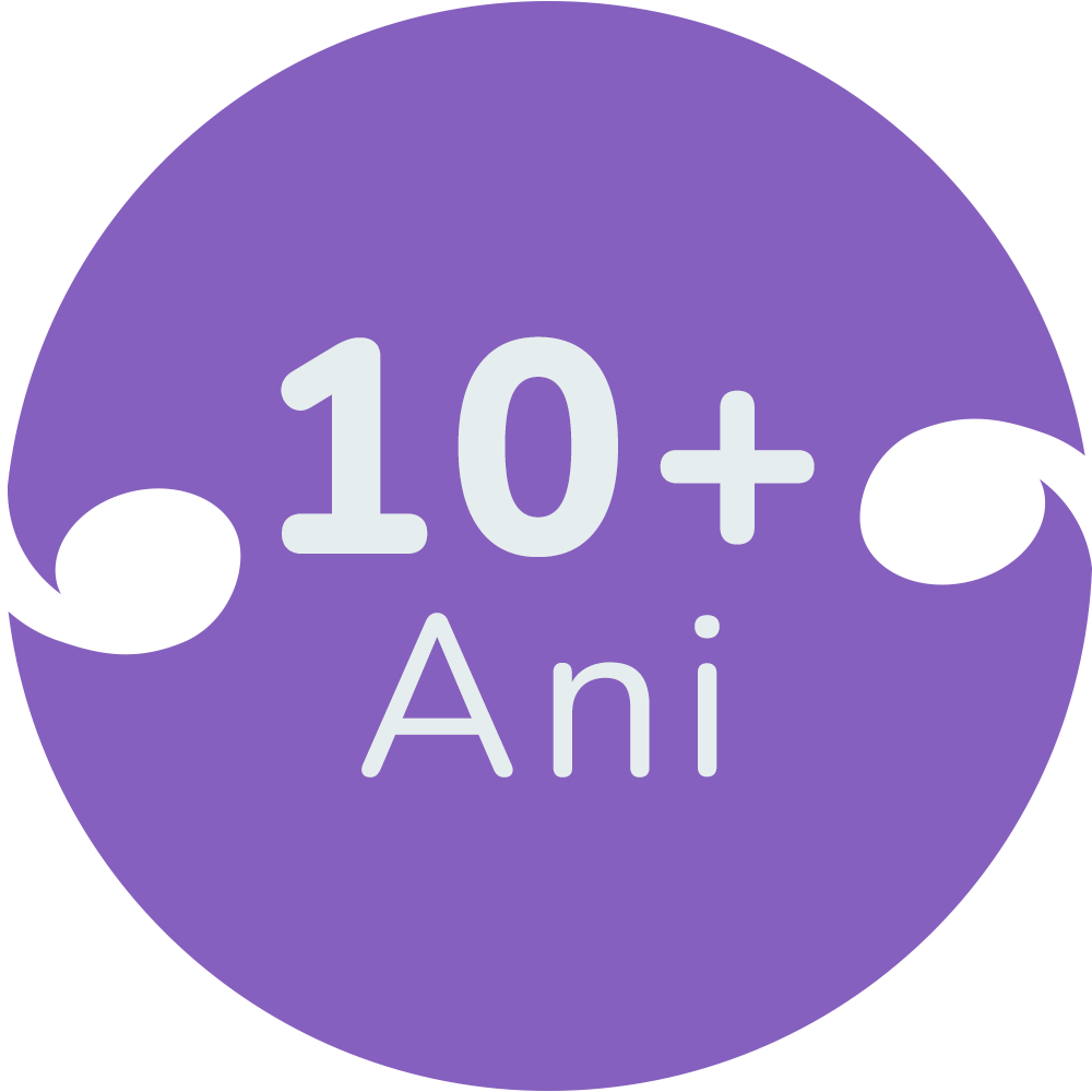 Jucarii copii 10+ ani