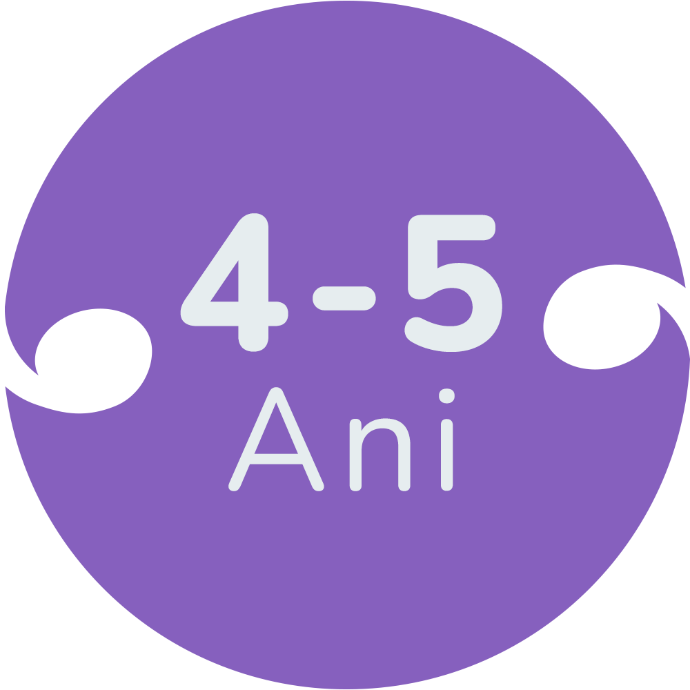 Jucarii copii 4 ani - 5 ani