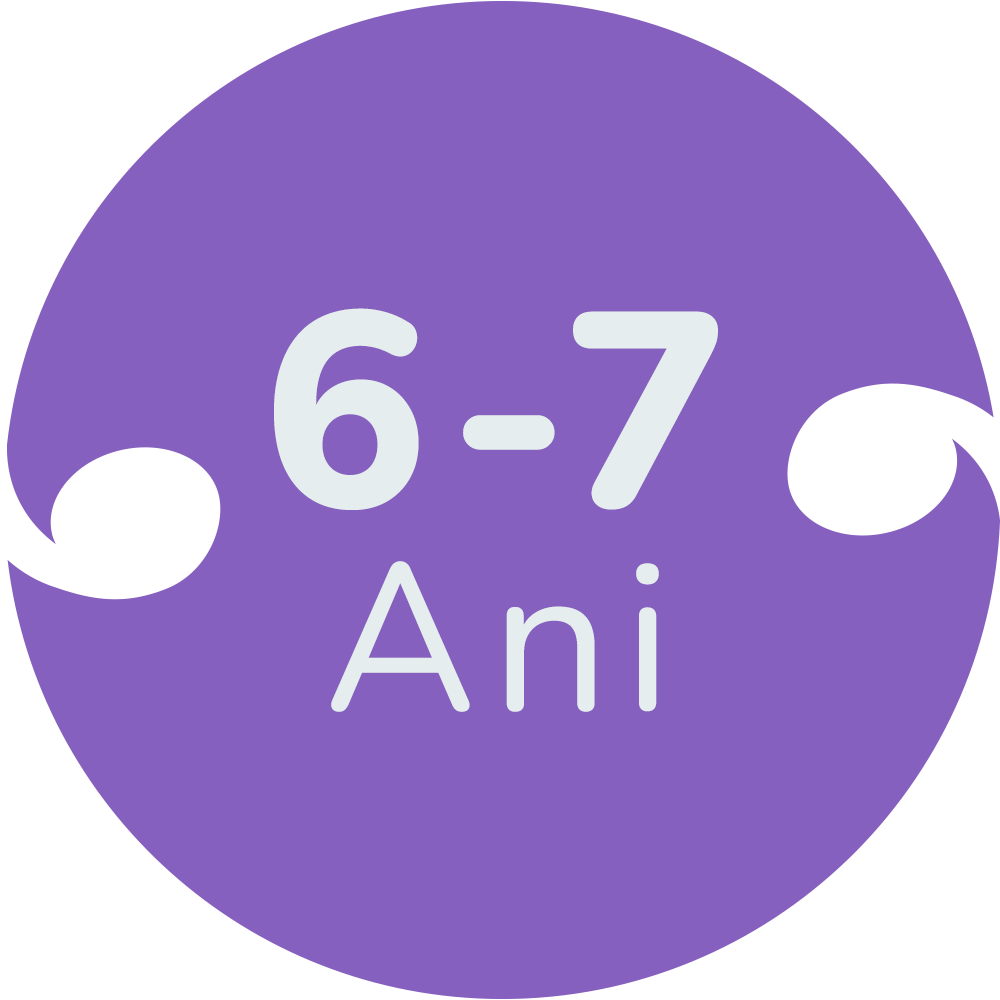 Jucarii copii 6 ani - 7 ani