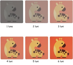 Set 160 imagini stimulare vizuala, cognitiva si senzoriala bebelusi si copii, 0 luni - 3 ani