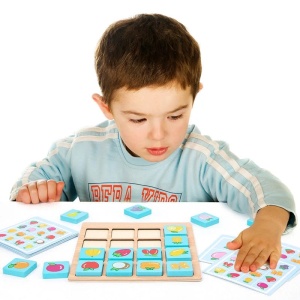 Joc de memorie si inteligenta din lemn, 30 piese