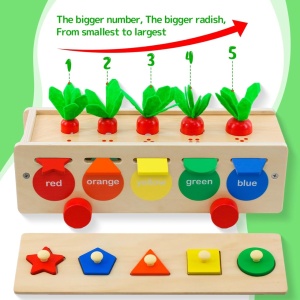 Joc educativ de sortare si asociere, Carrot