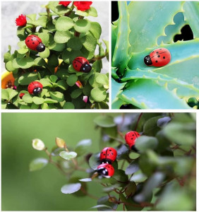 Set 50 buburuze colorate din lemn pentru creatii, 2 cm