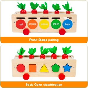 Joc educativ de sortare si asociere, Carrot