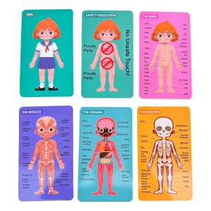 Puzzle Educativ in Limba Romana si Engleza cu 30 piese, Anatomia Corpului Uman, Fetita - Img 3