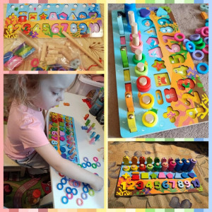 Joc educativ Montessori multifunctional cu 6 activitati, Pesti