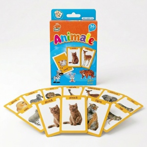 Set 36 carduri cognitive limba romana/engleza - Animale