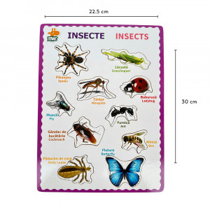 Puzzle bilingv din lemn, Limba Romana si Engleza, Insecte