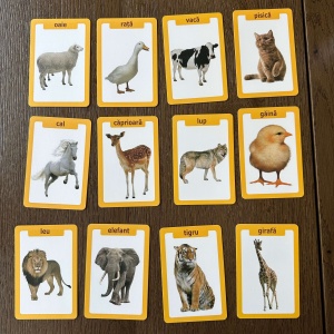 Set 36 carduri cognitive limba romana/engleza - Animale