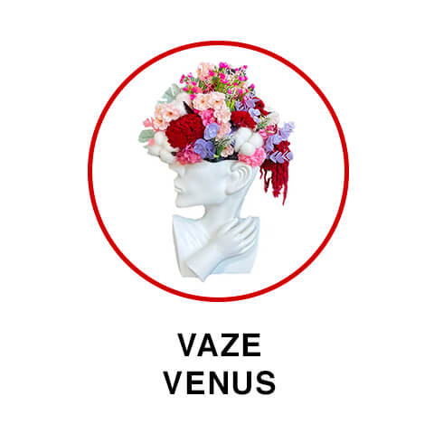 Vaze Venus