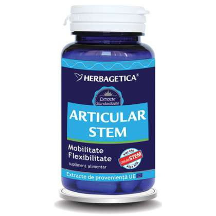 Articular Stem Herbagetica - Img 1