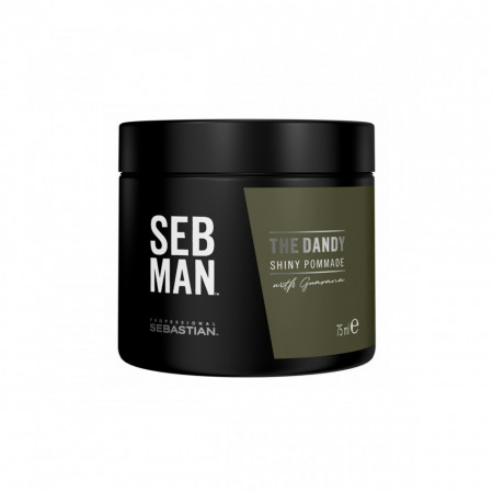 Pomada Sebastian Professional SebMan The Dandy 75 ml