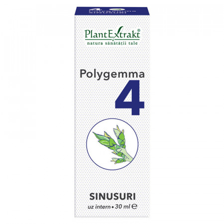 Polygemma 4 (Sinusuri) PlantExtrakt 30 ml