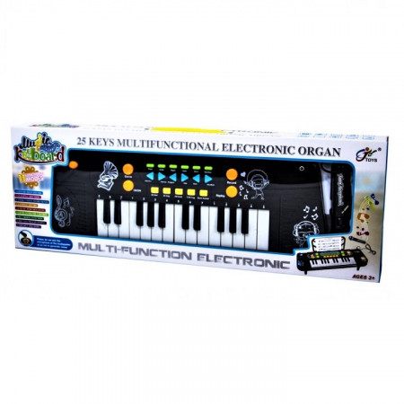 Orga Electronica cu Microfon , Rainbow Piano, Echipata cu 25 taste de pian, Accesorizata cu ritmuri si melodii diferite, Reglarea Volumului