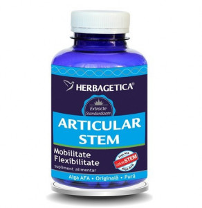 Articular Stem Herbagetica - Img 2