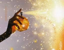 Hermes Elixir des Merveilles, Femei, Apa de Parfum - Img 3