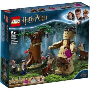 LEGO Harry Potter - Padurea interzisa: intalnirea dintre Grawp si Umbridge 75967, 253 piese