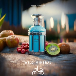 Paris Corner Reham Wild Mineral, Apa de Parfum, Barbati, 100 ml