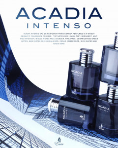 Parfum arabesc Acadia Intenso Emir Paris Corner, Apa de Parfum, Barbati, 100 ml