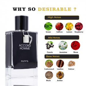 Accord Homme, Riiffs, Apa de Parfum, Barbati, 100ml - Img 3
