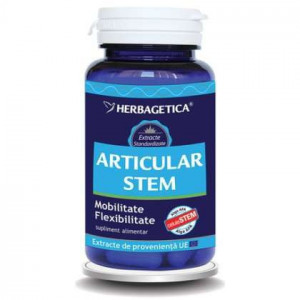 Articular Stem Herbagetica - Img 3
