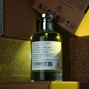 Emir, Paris Corner, Ultra Citrus Factory Edition, Apa de Parfum, Barbati, 100 ml