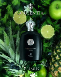 Opulentia Primus Emir Paris Corner, Apa de Parfum, Barbati, 100 ml - Img 6