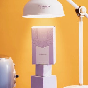 Paris Corner Pendora Scents Blackberry Wish SUBLIME Elements, Apa de Parfum, Unisex, 100 ml