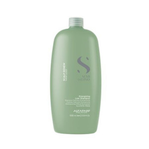 Sampon anti-cadere Alfaparf Semi Di Lino Scalpcare Energizing 1000 ml