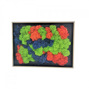 Tablou decorativ cu licheni stabilizati, model padure, 19x14 cm