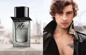 Burberry Mr. Burberry,Apa de Toaleta, Barbati, 30 ml