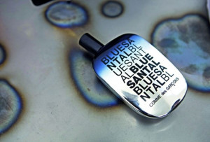 Comme des Garcons Blue Santal - Img 4