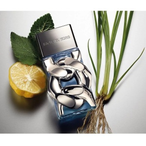 Michael Kors Pour Homme, Apa de Parfum