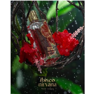 Paris Corner Ibisco Nirvana, Apa de Parfum, Unisex, 100 ml