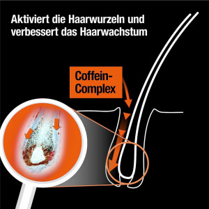 Sampon Alpecin Caffeine C1 Black Edition pentru reducerea caderii parului, 250 ml - Img 5