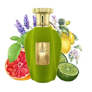 Voux Zingy Emir Paris Corner, Apa de Parfum, Unisex, 100 ml
