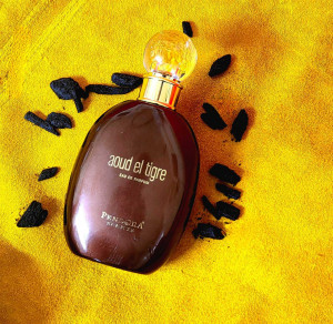 Parfum arabesc Aoud el Tigre Pendora Scents Paris Corner, Apa de Parfum, Unisex, 100 ml