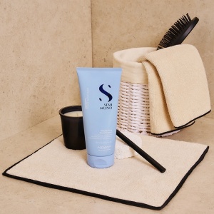 Balsam densificator Alfaparf Semi di Lino Density Thickening