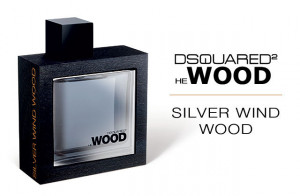 Dsquared He Wood Silver Wind 100 ml