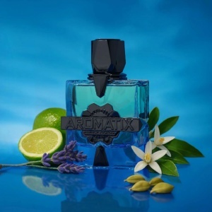 French Avenue Aromatix Magnetiq, Extract de Parfum, Unisex
