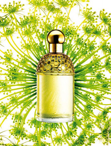 Guerlain Aqua Allegoria Angelique Lilas - Img 3