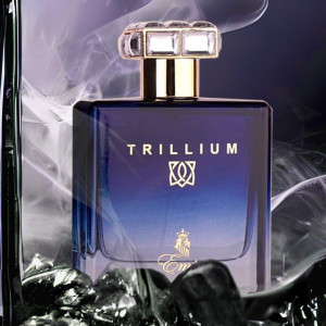 Trillium Emir Paris Corner, Apa de Parfum, Barbati, 100 ml - Img 2
