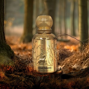 Auraa Desire Cedar Paradise Extract de Parfum, Barbati, 100 ml