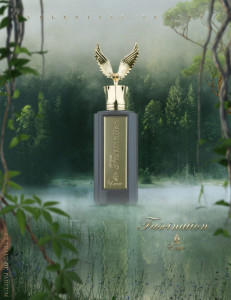 Fascination Celestial Emir Paris Corner, Apa de Parfum, Unisex, 100 ml - Img 4