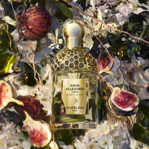 GUERLAIN Aqua Allegoria Nerolia Vetiver Forte