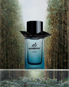 Mr Burberry Element, Apa de Toaleta, Barbati - Img 4