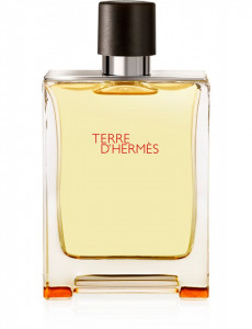 Terre D'Hermes, Barbati, Apa de Toaleta 100 ml tester